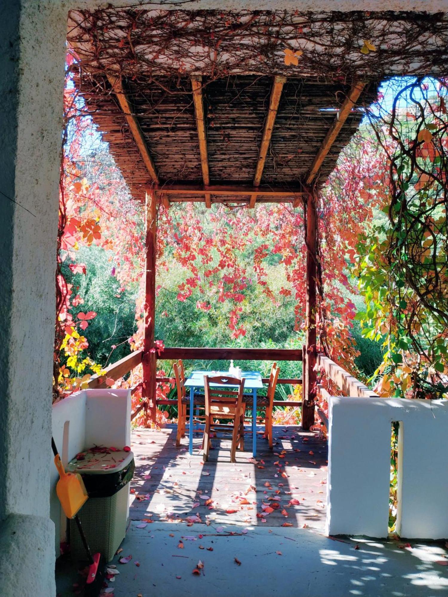 Oleander's Garden Traditional Cretan Ferma