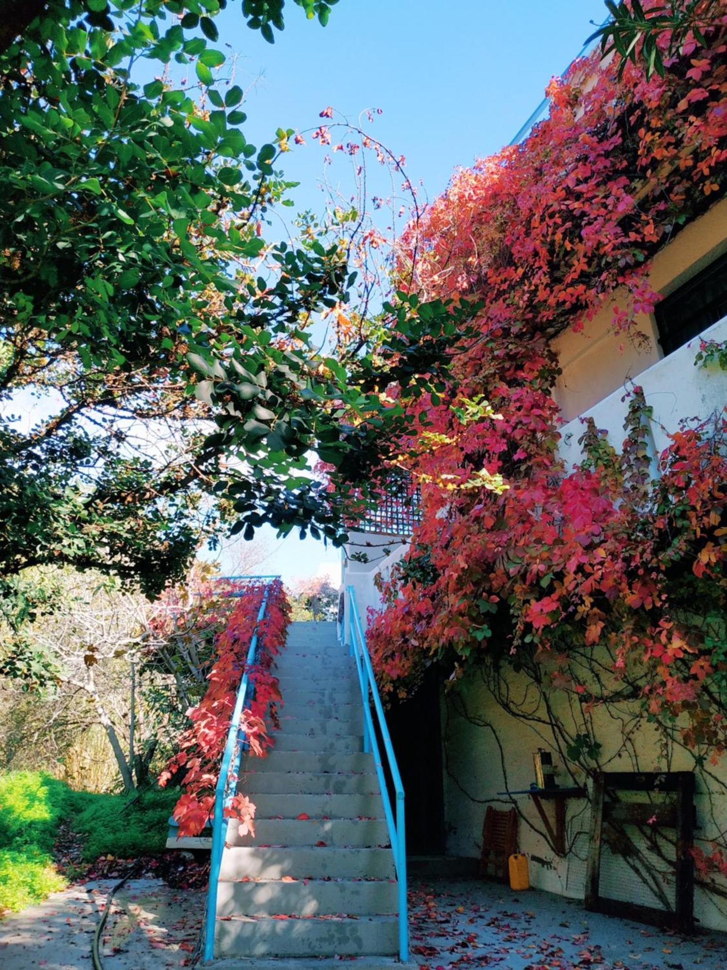 Oleander's Garden Traditional Cretan Apartahotel *