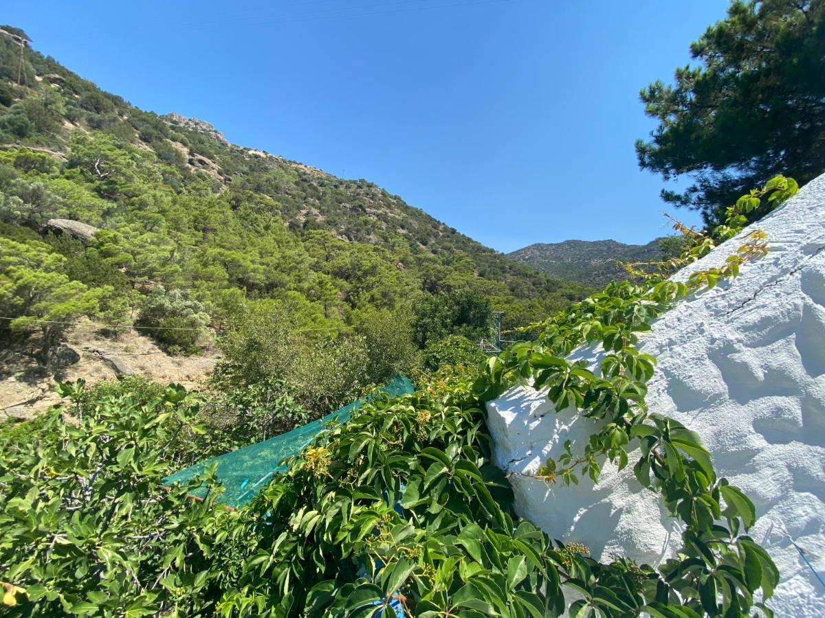 Aparthotel Oleander's Garden Traditional Cretan Ferma