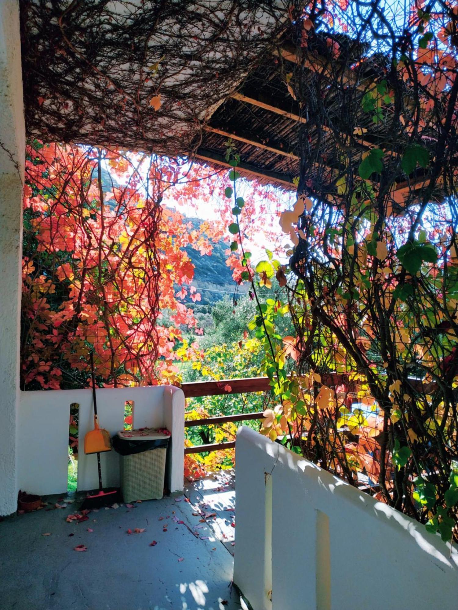 Aparthotel Oleander's Garden Traditional Cretan