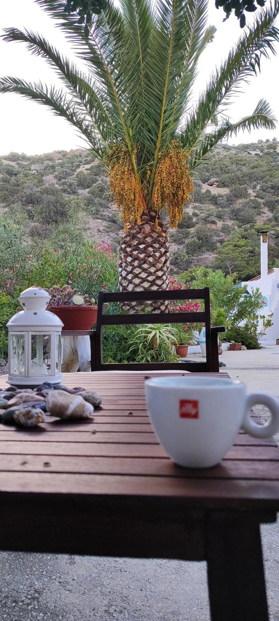 Aparthotel Oleander's Garden Traditional Cretan Ferma
