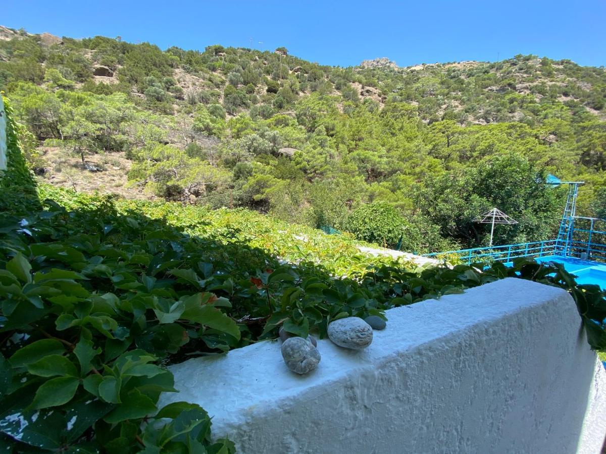Oleander's Garden Traditional Cretan Ferma