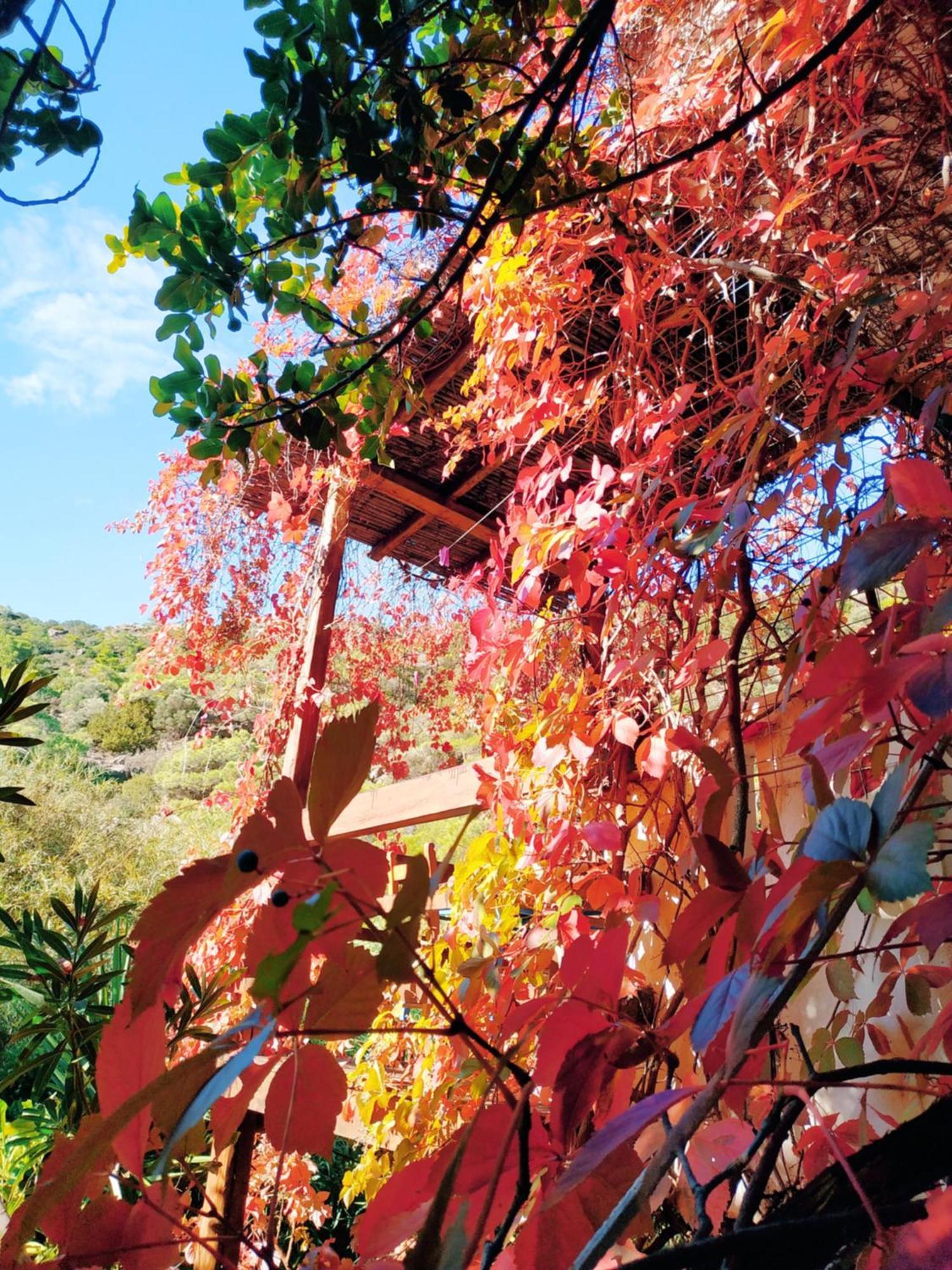 Aparthotel Oleander's Garden Traditional Cretan *