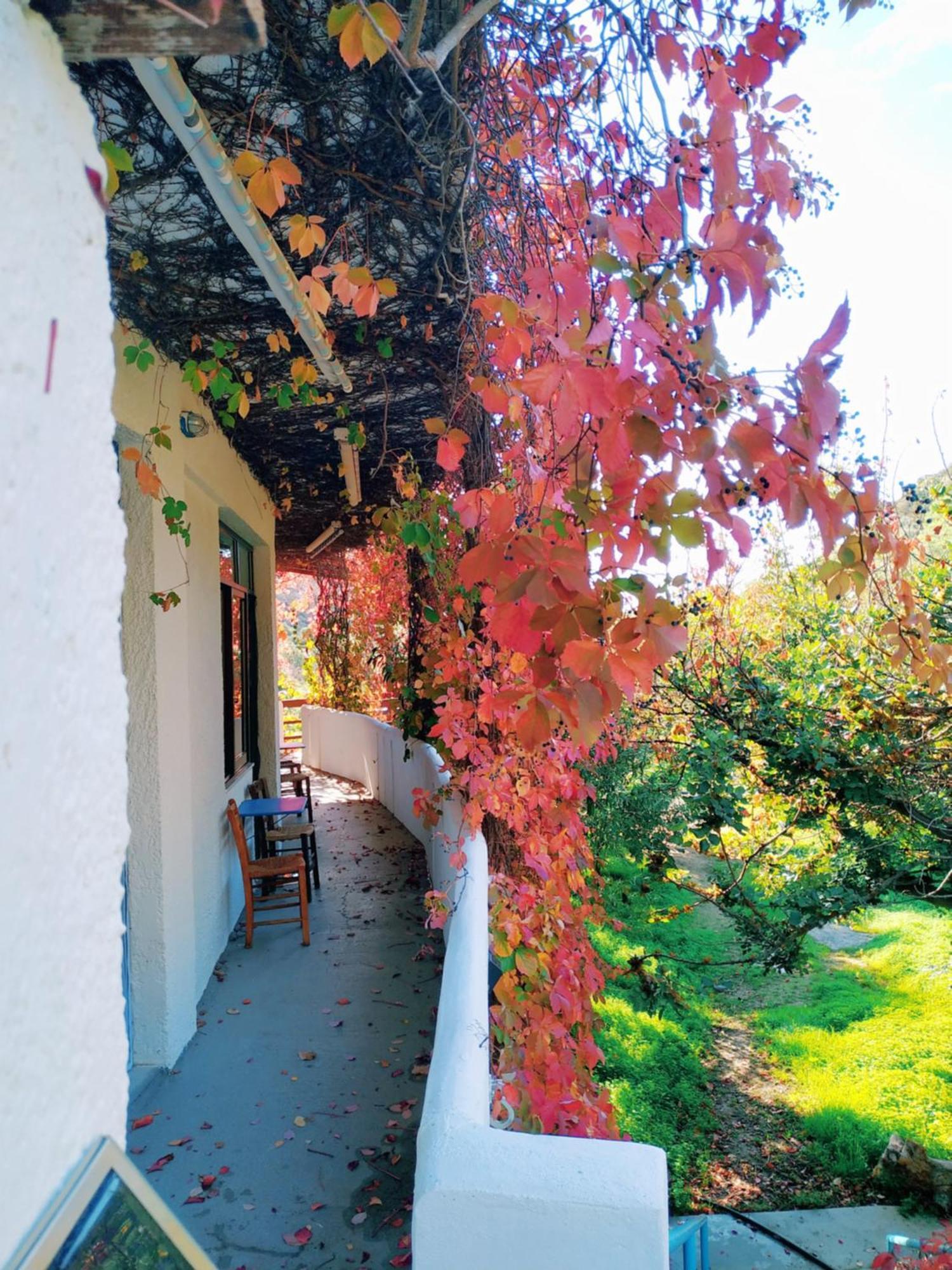 Oleander's Garden Traditional Cretan Aparthotel *