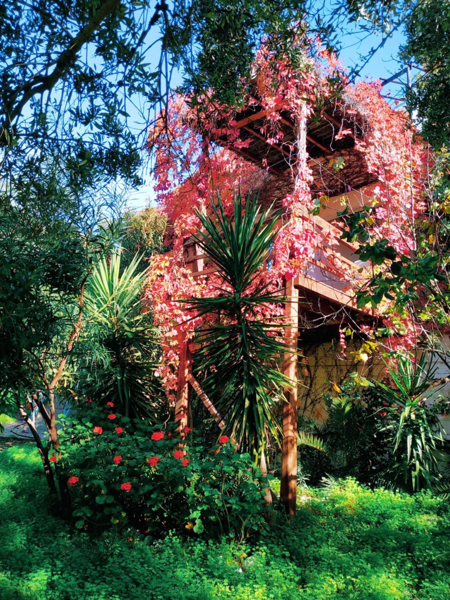 Aparthotel Oleander's Garden Traditional Cretan Ferma
