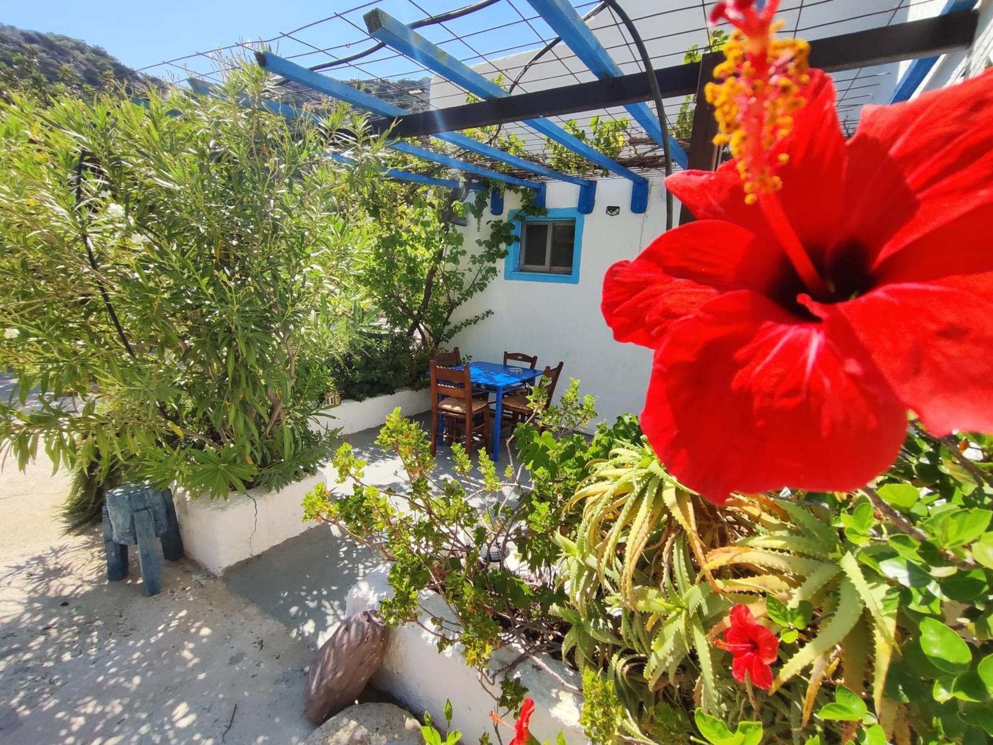 Aparthotel Oleander's Garden Traditional Cretan