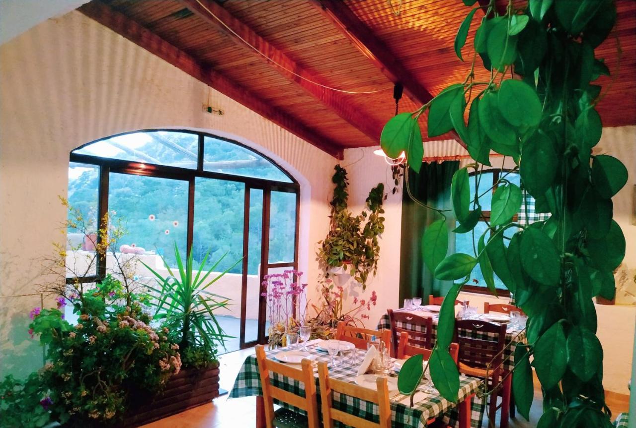 Aparthotel Oleander's Garden Traditional Cretan *